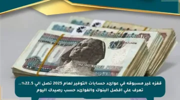 قفزة غير مسبوقة في عوائد حسابات التوفير لعام 2025 تصل إلى 22.5%.. تعرف على أفضل البنوك والفوائد حسب رصيدك اليوم